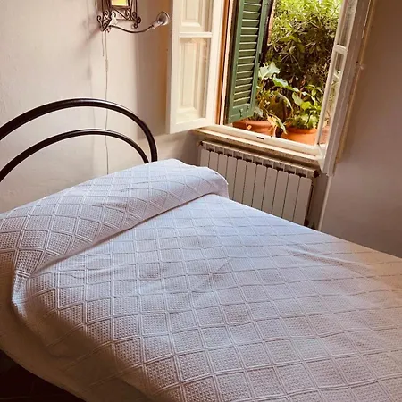 Sea Nest Castiglioncello * روزينيانو ماريتيمو